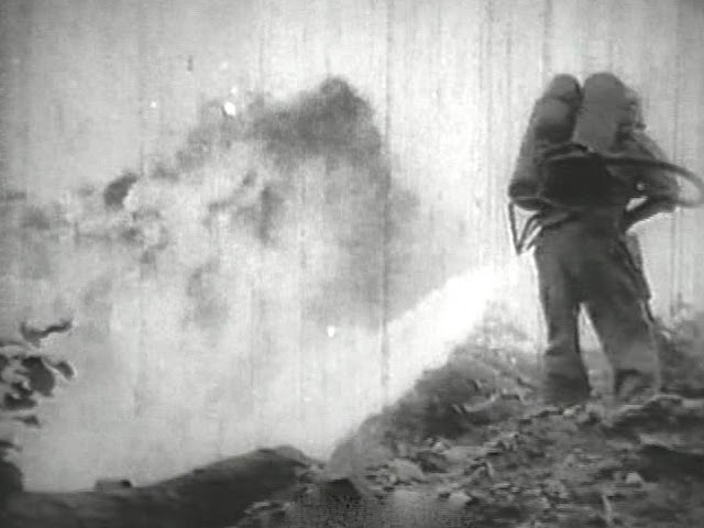 Burning Afexentiou with a flame thrower